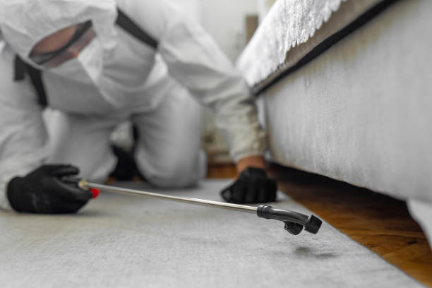 Professional Termite Control technician working in Brownwood, TX