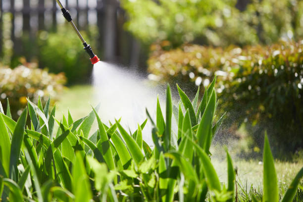 24/7 Emergency Termite Control experts in Brownwood, TX