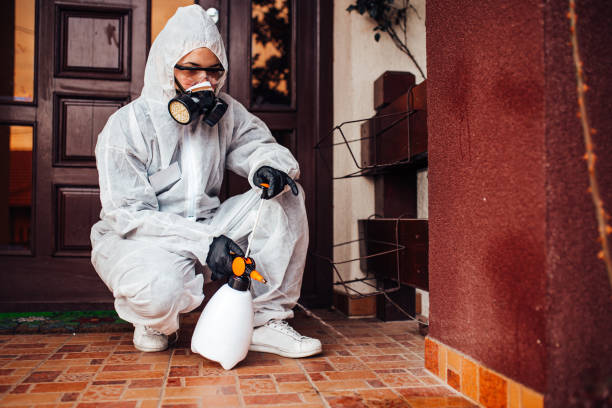 Reliable Termite Control contractor in Brownwood, TX by Nex Pest Control