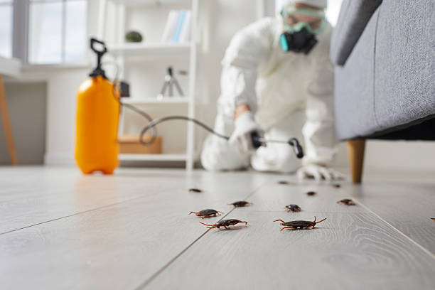 Trusted Termite Control service in Brownwood, TX - Nex Pest Control