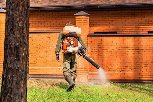 Trusted Emergency Pest Control service in Brownwood, TX - Nex Pest Control